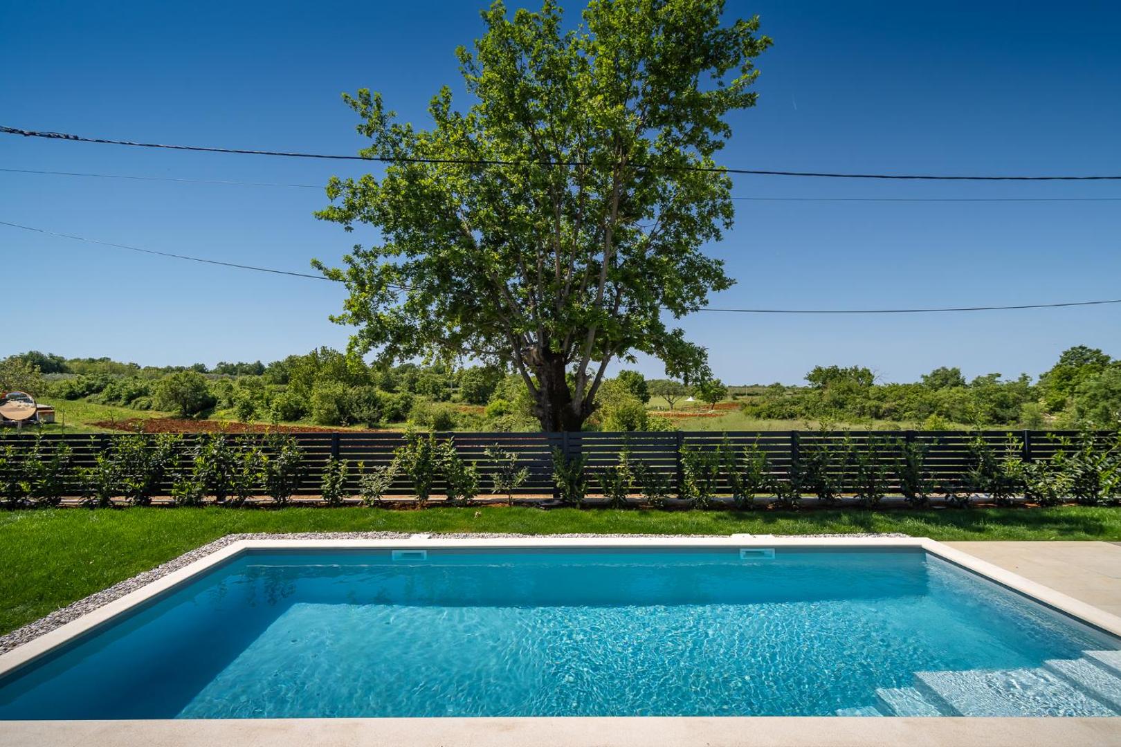 Villa Olive — Foto 14